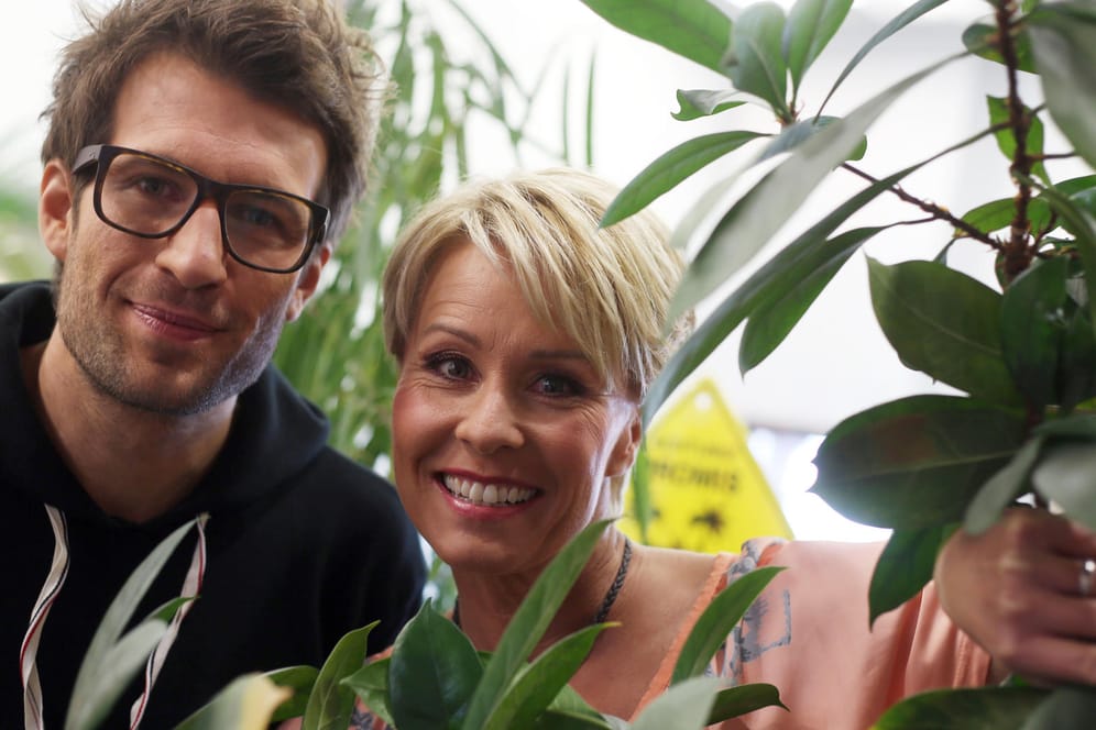 Sonja Zietlow und Daniel Hartwich: Das Moderatoren-Duo dürfte auch in der neuen Staffel gut zu tun haben.