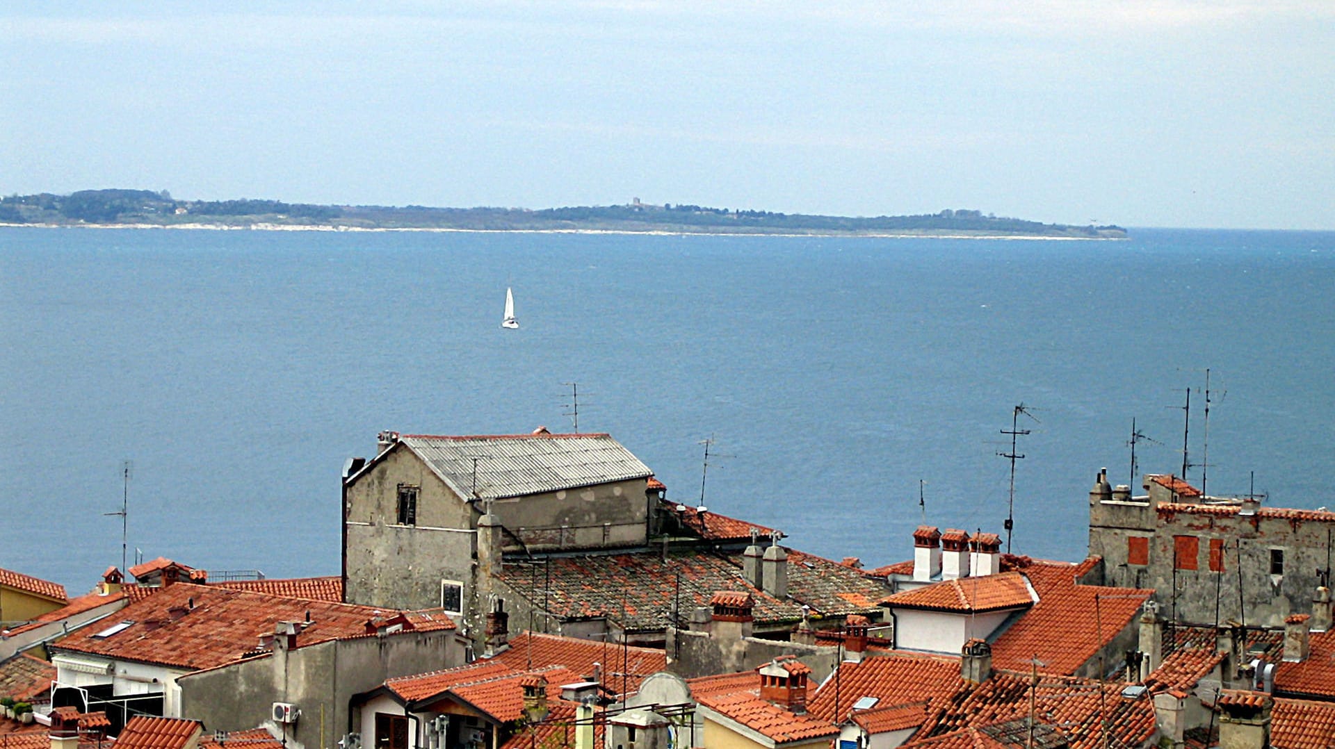 Blick auf die Bucht vom slowenischen Piran aus, dessen Häuser im Vordergrund zu sehen sind.