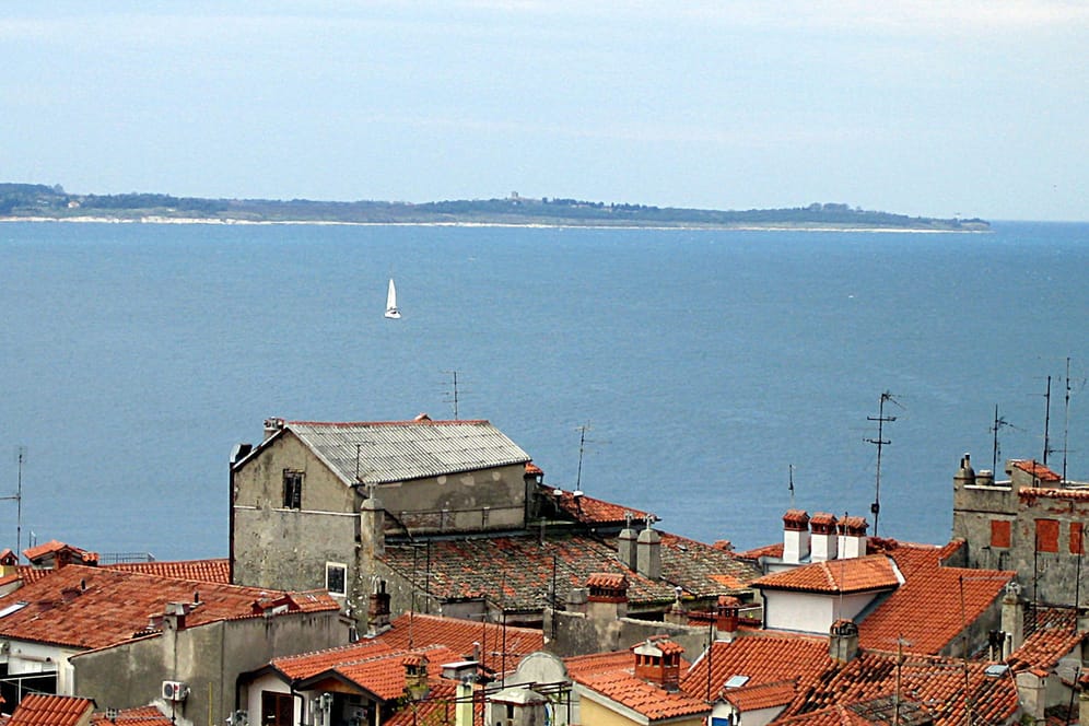 Blick auf die Bucht vom slowenischen Piran aus, dessen Häuser im Vordergrund zu sehen sind.