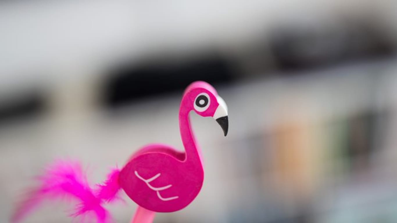 Der Flamingo ist angesagt.