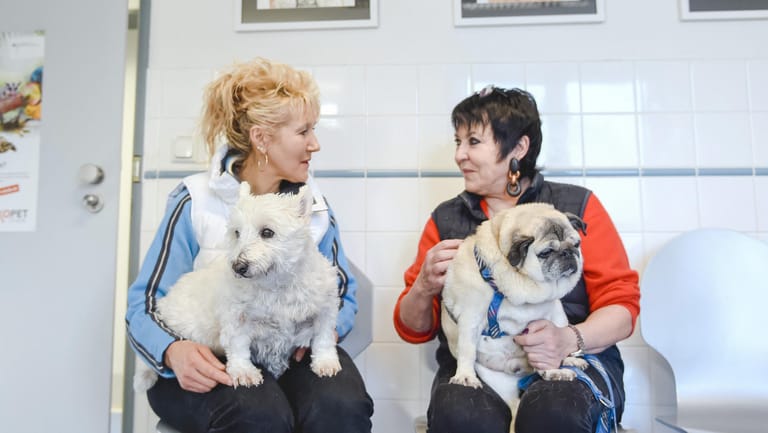Brigitte M. mit Hund Stupsi (l) und Uschi A. mit Sir Henry wollen in der Tierklinik der Ludwig-Maximilians-Universität in München erfahren, wie ihre Tiere abnehmen können.