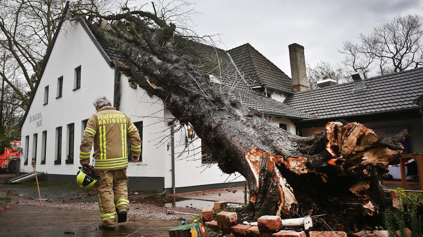 Der Sturm hat diesen Baum auf ein Haus in Ratingen (Nordrhein-Westfalen) stürzen lassen: So etwas droht auch in den nächsten Tagen.