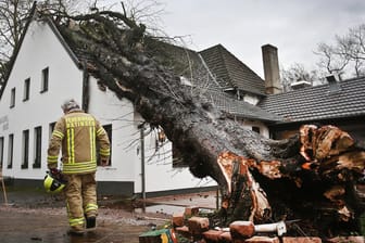 Der Sturm hat diesen Baum auf ein Haus in Ratingen (Nordrhein-Westfalen) stürzen lassen: So etwas droht auch in den nächsten Tagen.