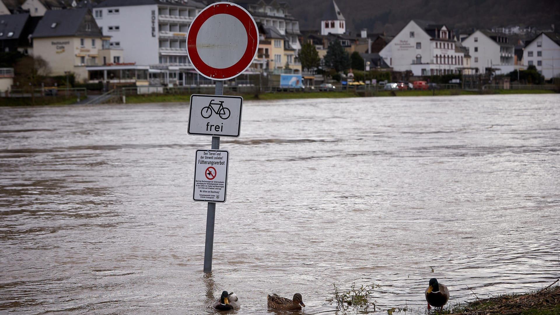 Das Moselvorgelände in Cochem ist überflutet: Inzwischen ist die Mosel für den Schiffsverkehr komplett gesperrt.