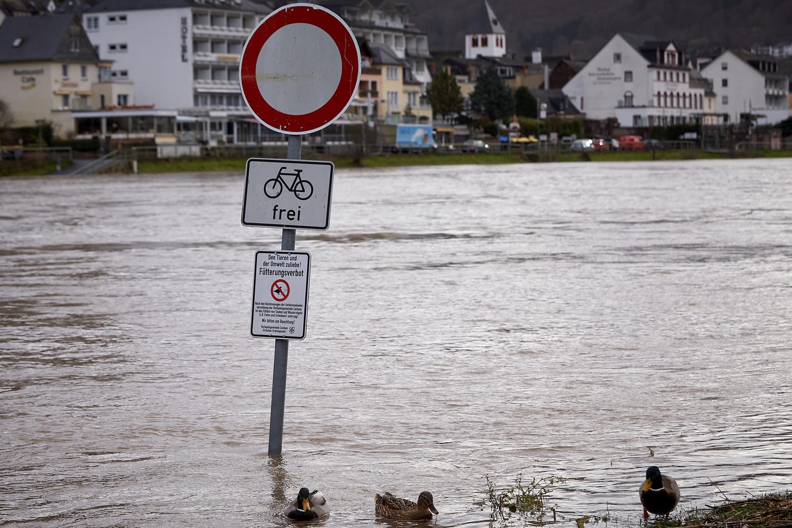 Das Moselvorgelände in Cochem ist überflutet: Inzwischen ist die Mosel für den Schiffsverkehr komplett gesperrt.