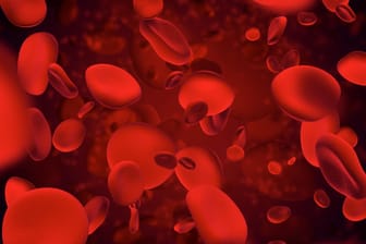Die roten Blutkörperchen: Anämie beschreibt den Mangel roter Blutkörperchen.