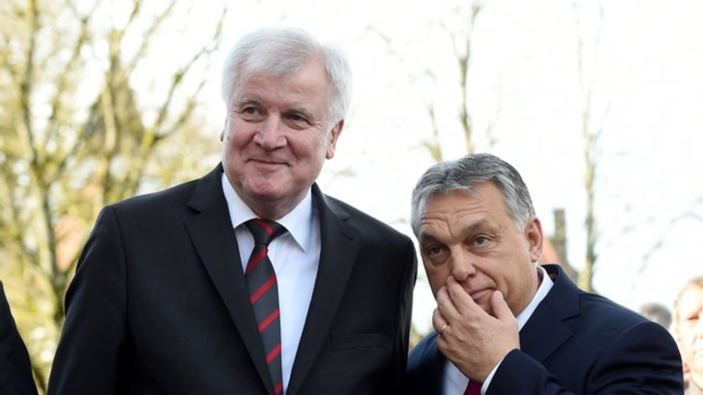 Unter Freunden: CSU-Parteichef Horst Seehofer und der Ministerpräsident von Ungarn, Viktor Orban.