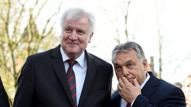 Unter Freunden: CSU-Parteichef Horst Seehofer und der Ministerpräsident von Ungarn, Viktor Orban. Unter Freunden: CSU-Parteichef Horst Seehofer und der Ministerpräsident von Ungarn, Viktor Orban.