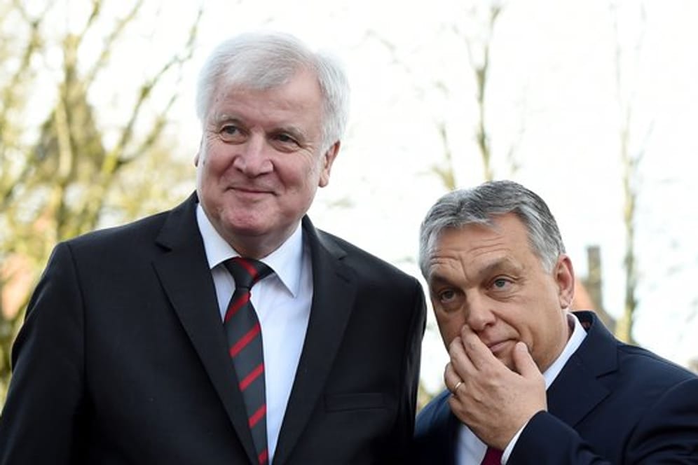 Unter Freunden: CSU-Parteichef Horst Seehofer und der Ministerpräsident von Ungarn, Viktor Orban.