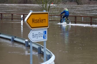 Ein Radfahrer fährt über die vom Moselhochwasser überflutete Bundesstrasse B416 bei Moselkern (Rheinland-Pfalz): Mit einem weiteren Anstieg der Pegelstände wird in den nächsten Tagen gerechnet.