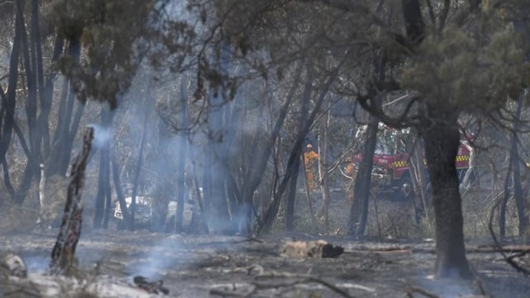 Heftige Buschbrände bei hochsommerlichen Temperaturen halten die Einsatzkräfte im Süden Australiens in Atem.