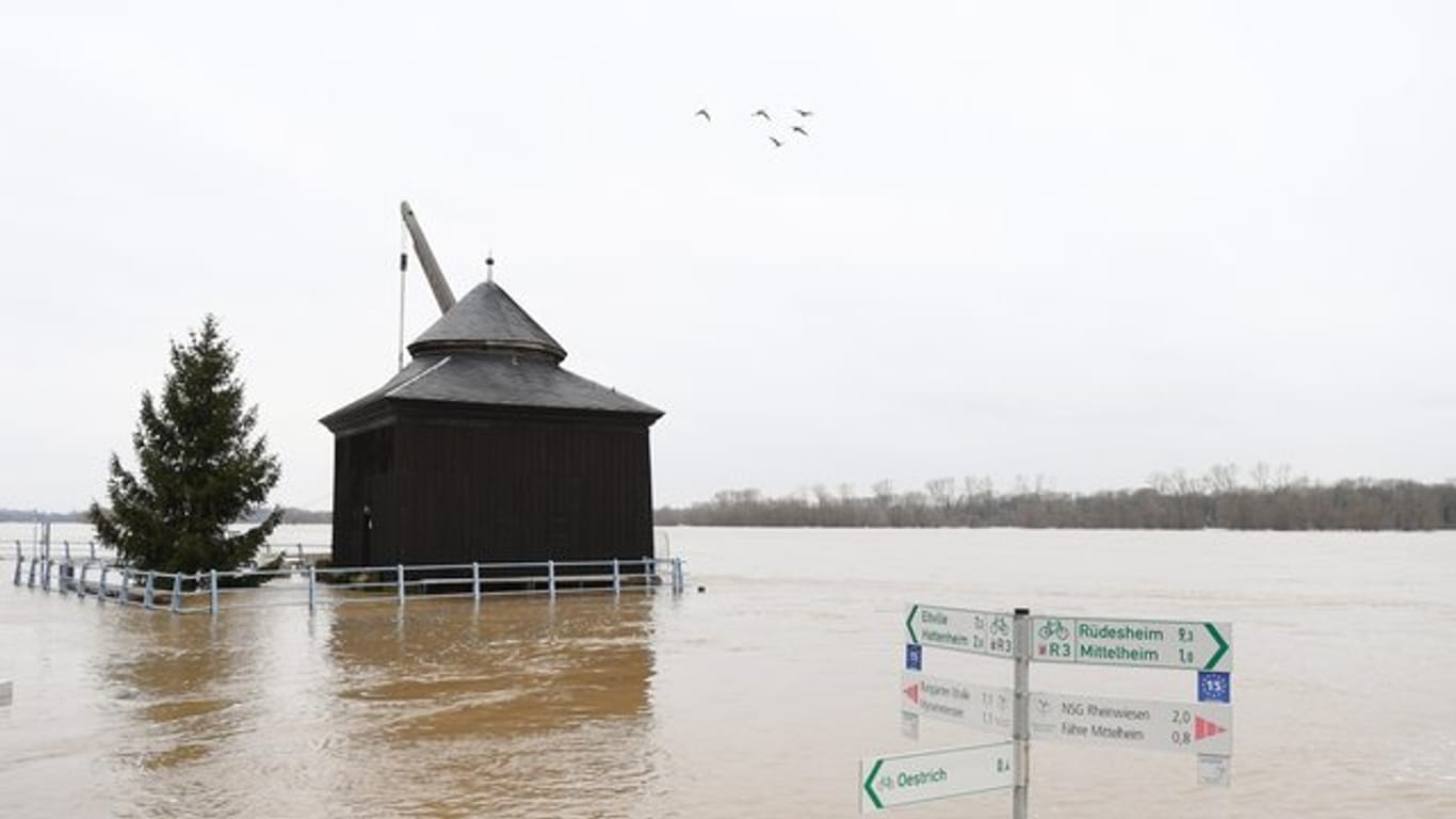 Ein Wegweiser am Rheinufer von Oestrich-Winkel (Hessen) ist fast vollständig im Hochwasser versunken.