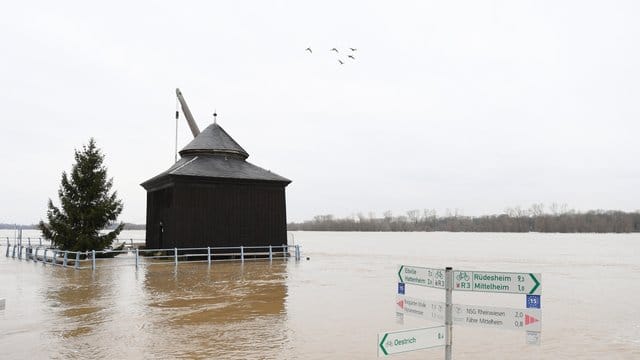 Ein Wegweiser am Rheinufer von Oestrich-Winkel (Hessen) ist fast vollständig im Hochwasser versunken. Ein Wegweiser am Rheinufer von Oestrich-Winkel (Hessen) ist fast vollständig im Hochwasser versunken.