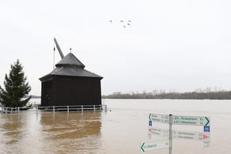 Ein Wegweiser am Rheinufer von Oestrich-Winkel (Hessen) ist fast vollständig im Hochwasser versunken.