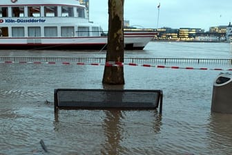 Vom Hochwasser umspült steht in Köln eine Bank.