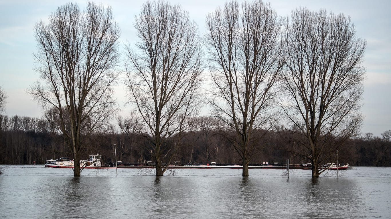 Hochwasser in Zons am Rhein: Die Lage für die Schifffahrt dürfte sich in den kommenden Tagen entspannen.