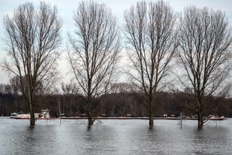 Hochwasser in Zons am Rhein: Die Lage für die Schifffahrt dürfte sich in den kommenden Tagen entspannen.