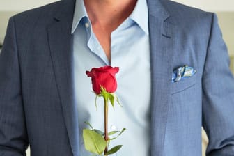 Ab dem 10. Januar sucht "Der Bachelor" wieder nach der Frau fürs Leben.