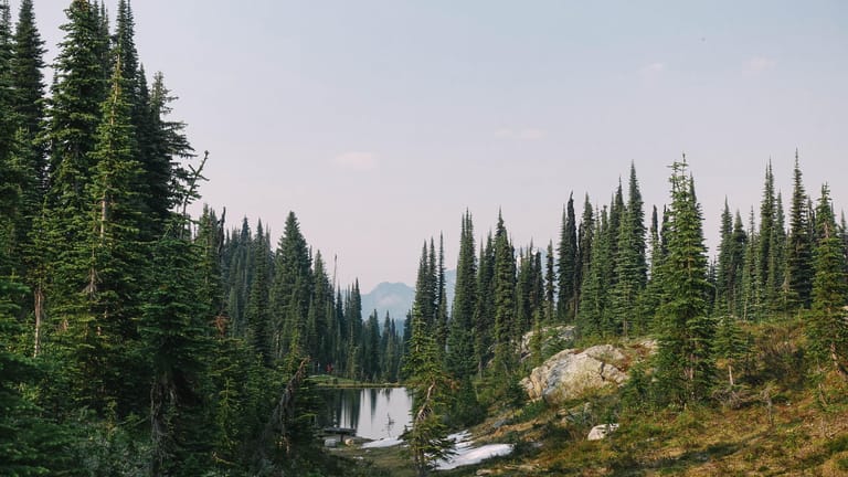 Mount Revelstoke National Park, British Columbia: Das Märchenland der Rocky Mountains.