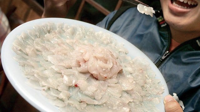 Fugu ist eine der teuersten Spezialitäten in Japan. Fugu ist eine der teuersten Spezialitäten in Japan.
