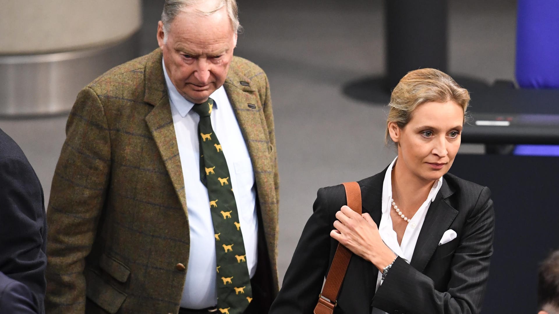 Alice Weidel und Alexander Gauland: Koalieren Union und SPD, wäre die AfD stärkste Oppositionspartei im Bundestag.