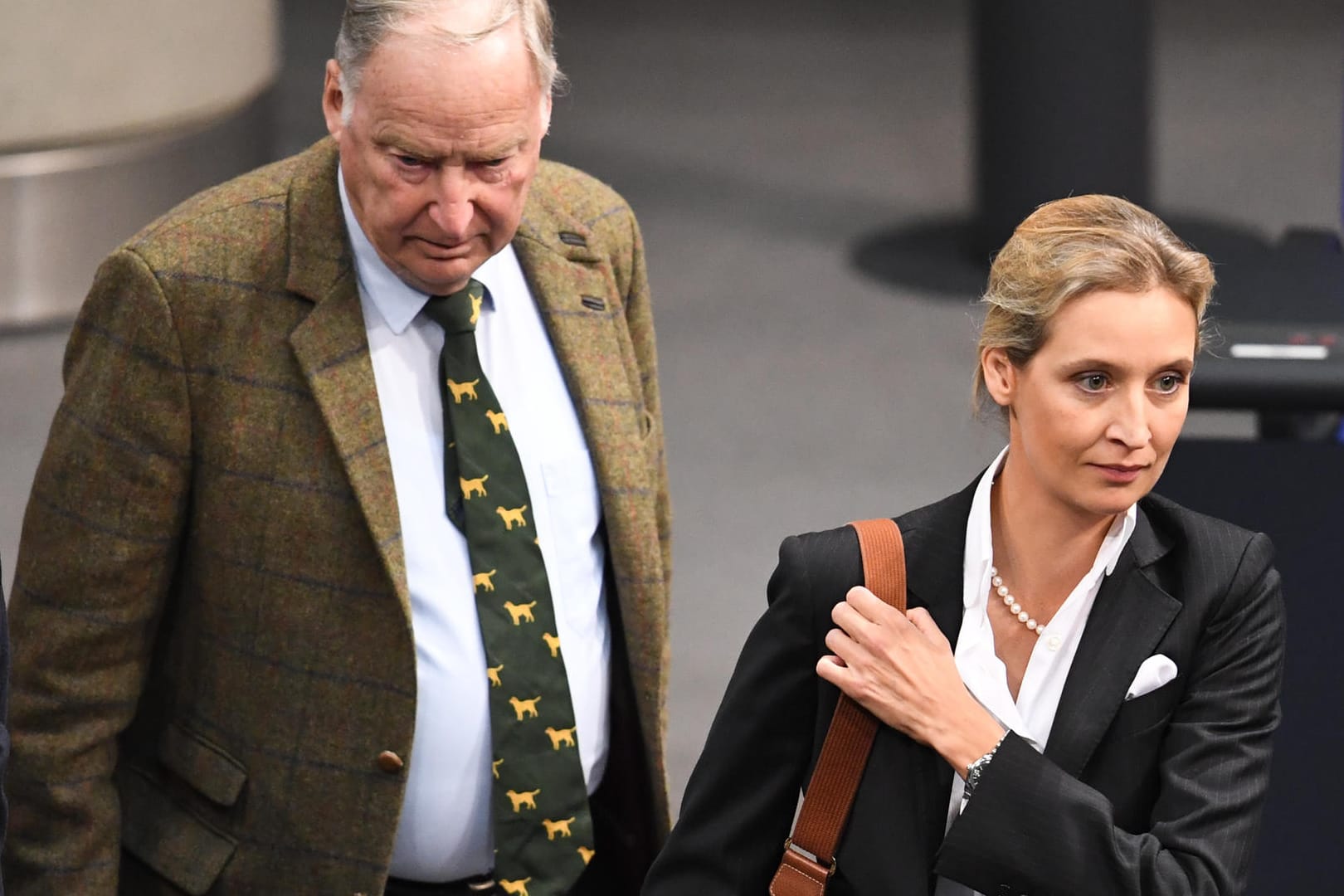 Alice Weidel und Alexander Gauland: Koalieren Union und SPD, wäre die AfD stärkste Oppositionspartei im Bundestag.