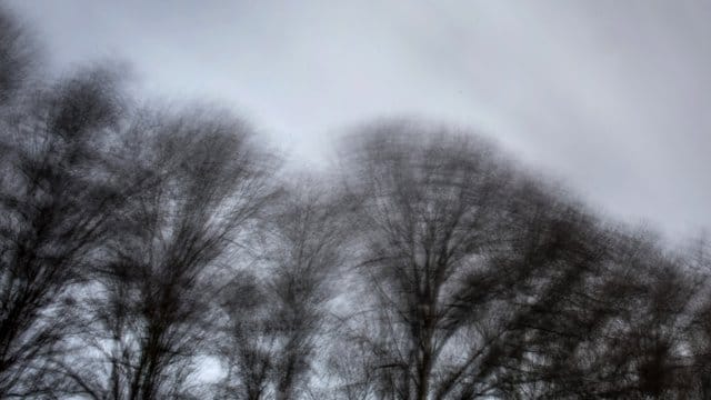 Im nordrhein-westfälischen Herdecke wiegen sich Bäume in einer Sturmböe. Im nordrhein-westfälischen Herdecke wiegen sich Bäume in einer Sturmböe.