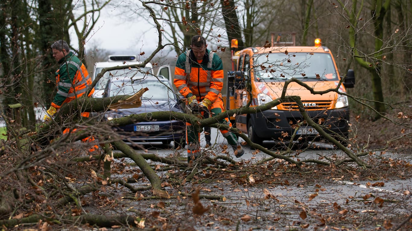 Ein umgestürzter Baum blockiert eine Straße in Bielefeld: "Friederike" sorgte in vielen Landesteilen für ein Verkehrschaos.