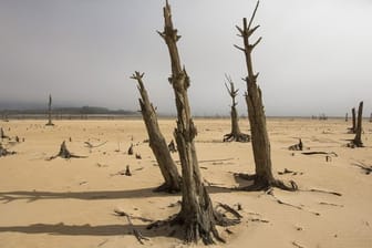 Dürre in Südafrika: Das Jahr 2017 gehört zu den drei wärmsten Jahren seit Beginn der Aufzeichnungen vor fast 170 Jahren.