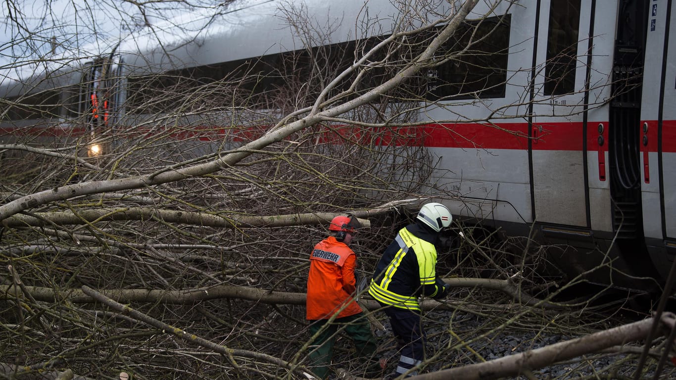 Lamspringe (Niedersachsen): Ein umgestürzter Baum zwang auf der Strecke zwischen Hannover und Göttingen einen ICE zum Stopp.