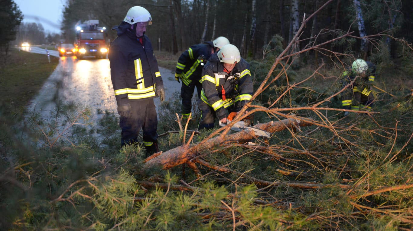 Feuerwehrleute in Brandenburg: Sturm "Friederike" hat deutschlandweit Bäume entwurzelt.