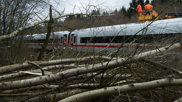 Bäume und Äste liegen an einer ICE-Trasse: Sturm "Friederike" hat in Deutschland für Chaos gesorgt.
