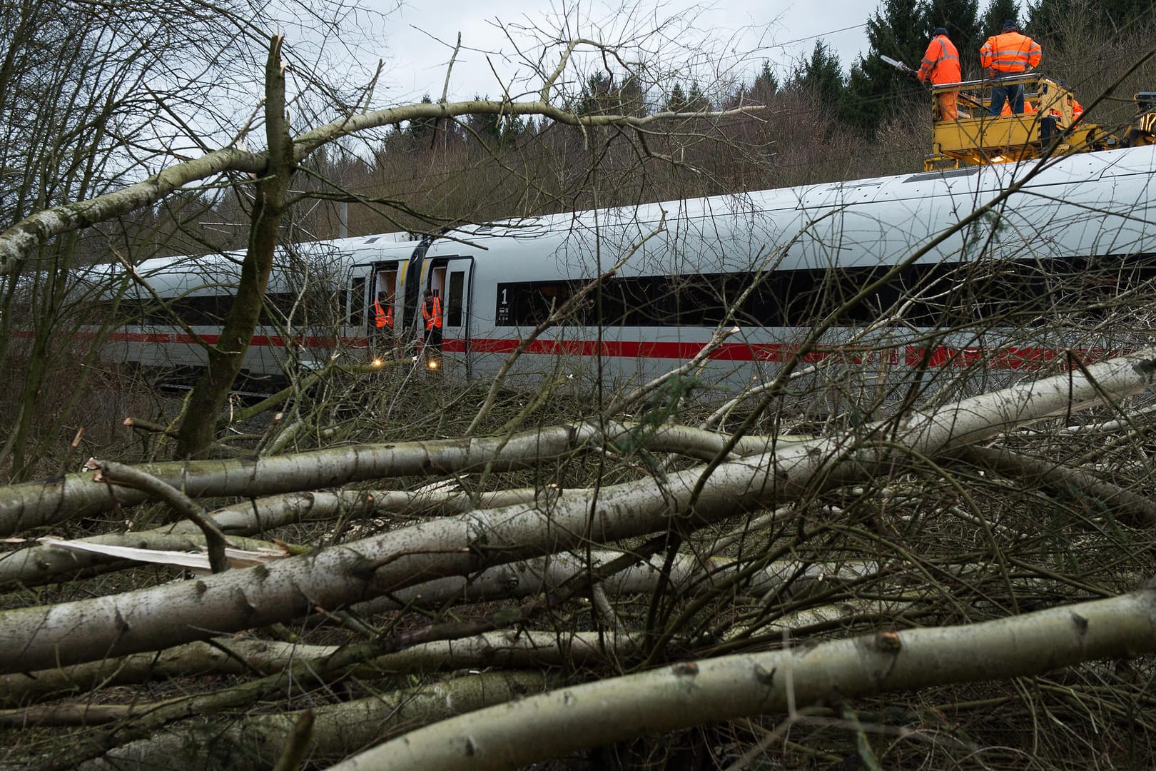 Bäume und Äste liegen an einer ICE-Trasse: Sturm "Friederike" hat in Deutschland für Chaos gesorgt.