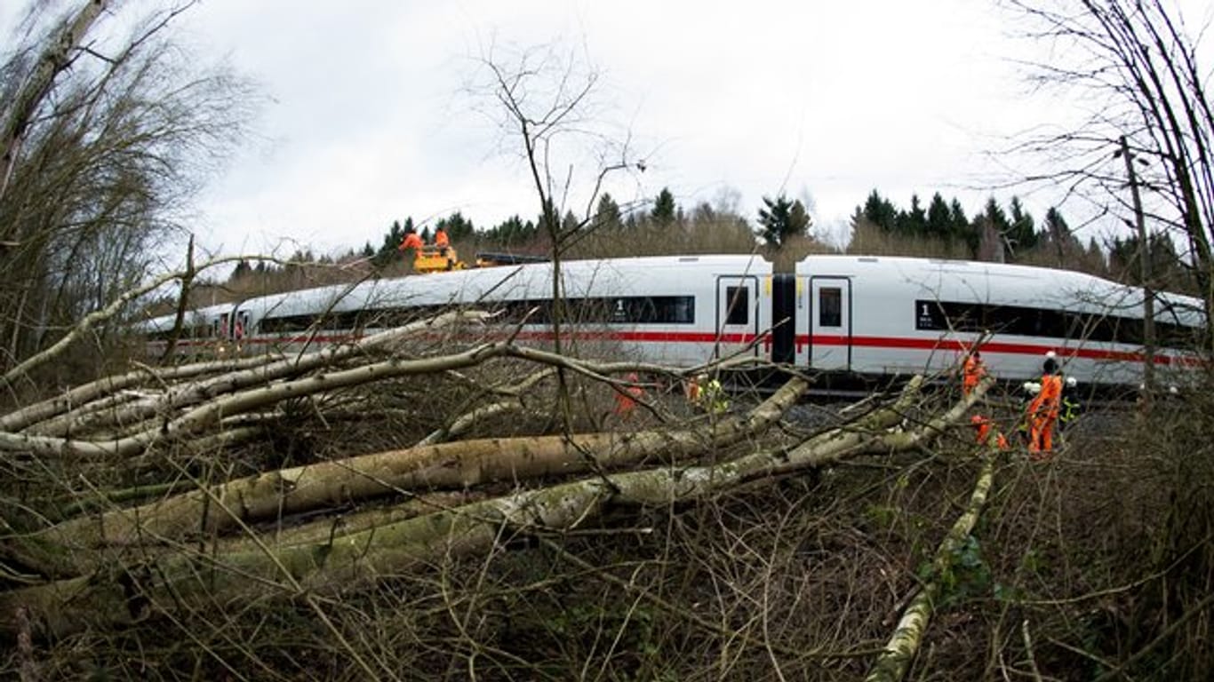 Durch Sturmtief "Friederike" lagen Bäume und Äste auf der ICE-Trasse zwischen Hannover und Göttingen.