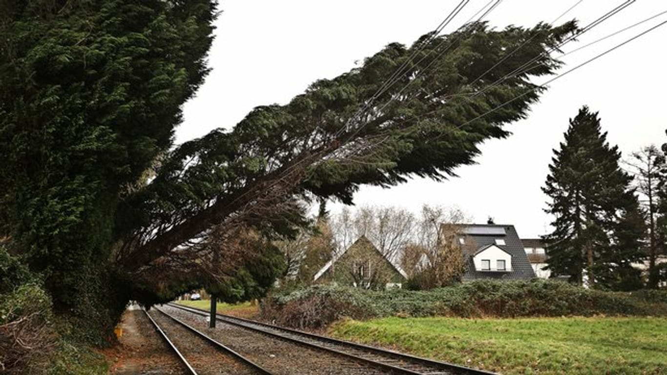 Ein vom Sturm entwurzelter Baum liegt in Düsseldorf auf Oberleitungen.