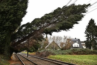 Ein vom Sturm entwurzelter Baum liegt in Düsseldorf auf Oberleitungen.