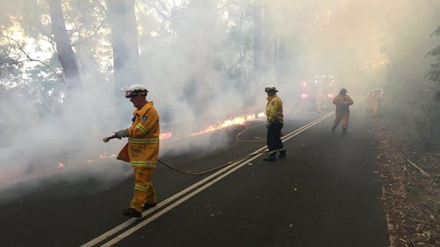 Feuerwehrleute löschen einen Buschbrand im Royal National Park südlich von Sydney. Feuerwehrleute löschen einen Buschbrand im Royal National Park südlich von Sydney.