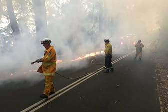 Feuerwehrleute löschen einen Buschbrand im Royal National Park südlich von Sydney.