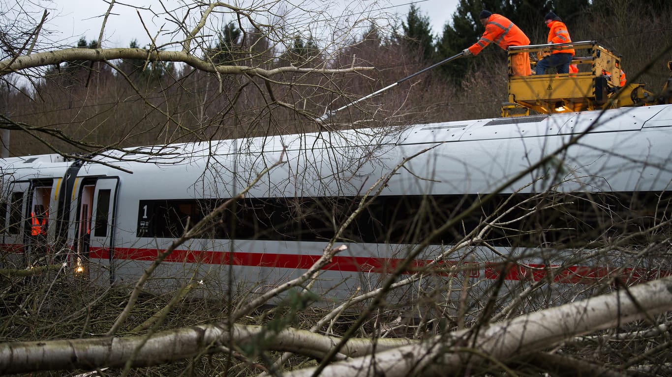 Bahn-Mitarbeiter befreien einen ICE von Gestrüpp: An bestimmten Stellen entlang der Strecken sollen nun Bäume gefällt werden.