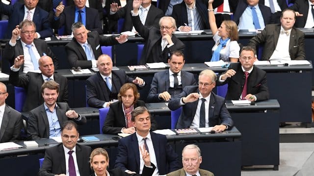 Die AfD-Fraktion wäre, wenn die große Koalition zustande kommen sollte, die größte Oppositionsfraktion.