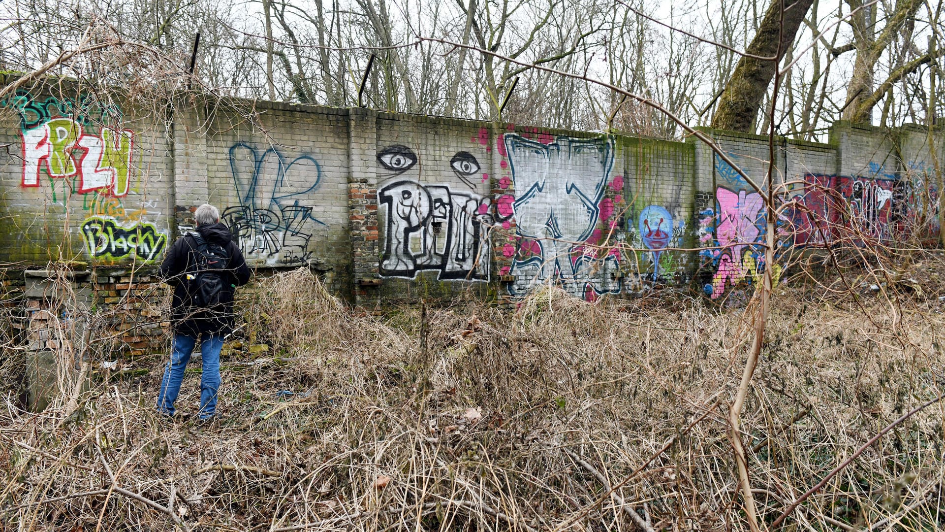 Der 80 Meter lange Mauerabschnitt liegt in einem Waldstück in Pankow.