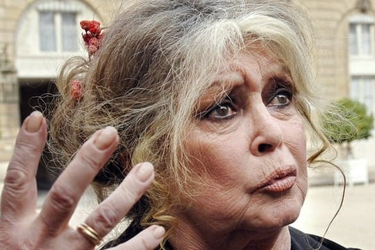 Brigitte Bardot: Ihre Erinnerungen "Larmes de combat" sollen ihr Testament sein.