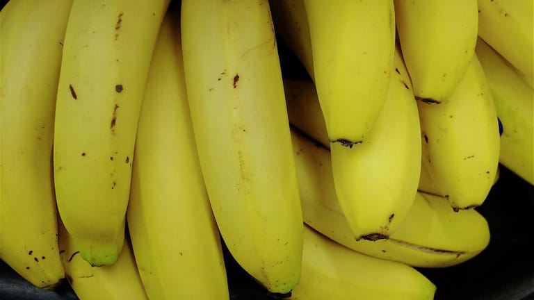 Bananen: Laut der Zeitschrift "Öko-Test" waren Bananen von Penny, Rewe, Netto Marken-Discount und Kaufland besonders belastet.