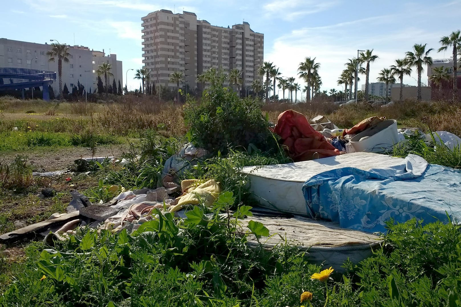 Wilde Müllabladestelle: Die Regionalreagierung der balearischen Inseln (Mallorca, Menorca, Ibiza und Formentera) will per Gesetz den Abfall reduzieren.