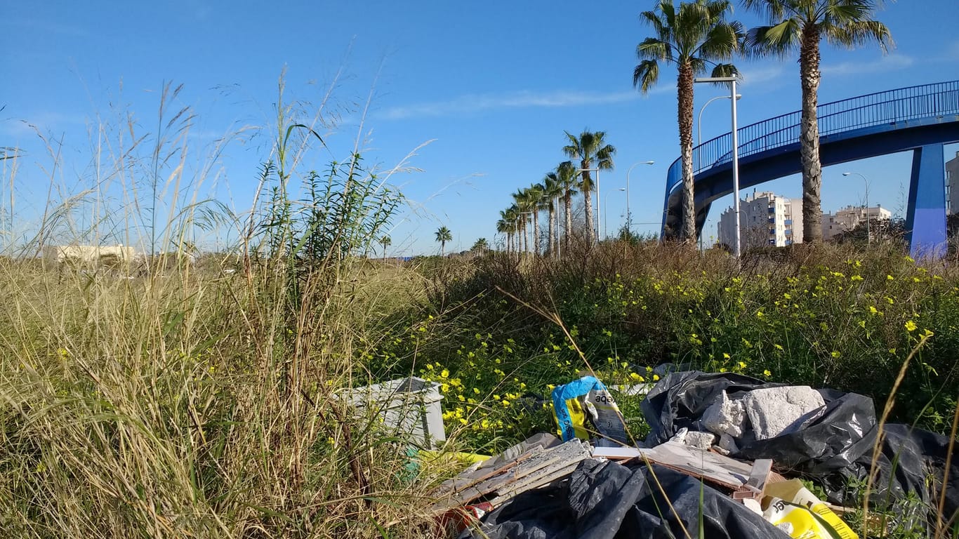 Illegal abegelegter Müll prägt die Natur von Mallorca.
