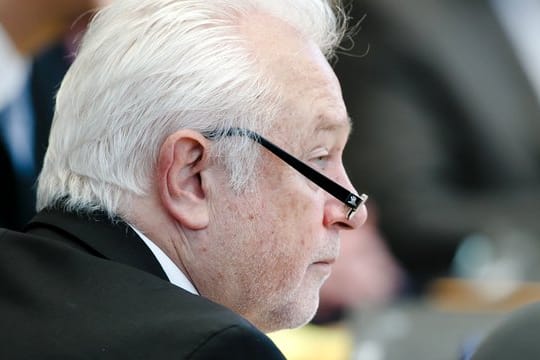 "Angela Merkel, Horst Seehofer und Martin Schulz kämpfen um ihr politisches Überleben", sagt Kubicki.