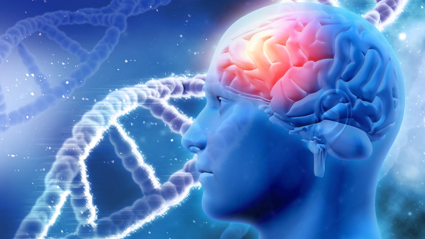 3D Ansicht des Gehirns und der DNA-Stränge: Die Anzahl der Alzheimer-Erkrankungen steigt, doch die genauen Ursachen bleiben unbekannt.