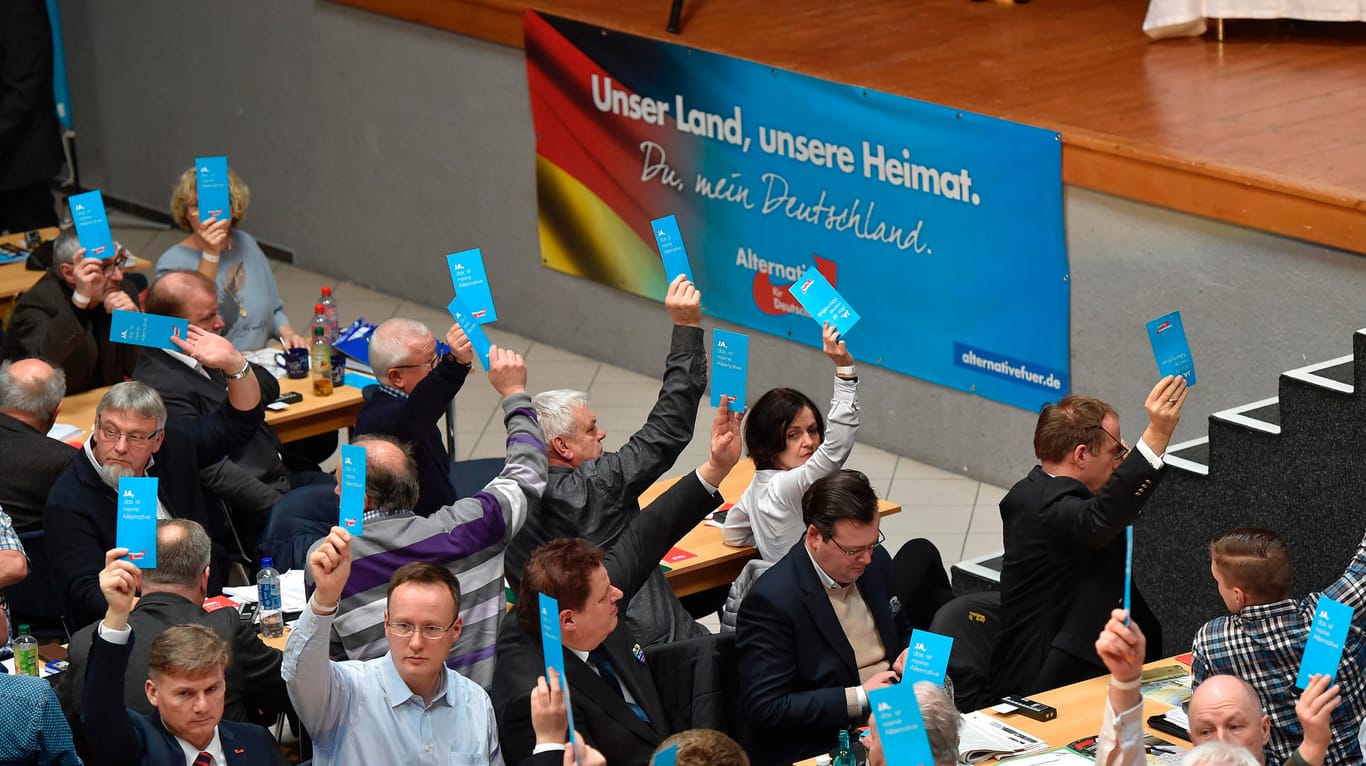 Parteitag in Hoyerswerda: Landesdelegierte der AfD stimmen über den Nachfolger von Frauke Petry ab.