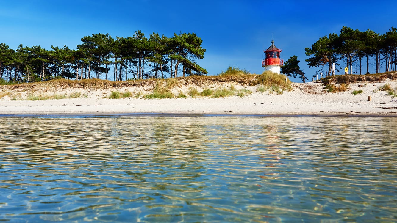 Hiddensee: Die Strände haben dem Massentourismus getrotzt. Statt Strandkörben findet man hier unberührte Natur, Sanddornbüsche und jede Menge Ruhe.