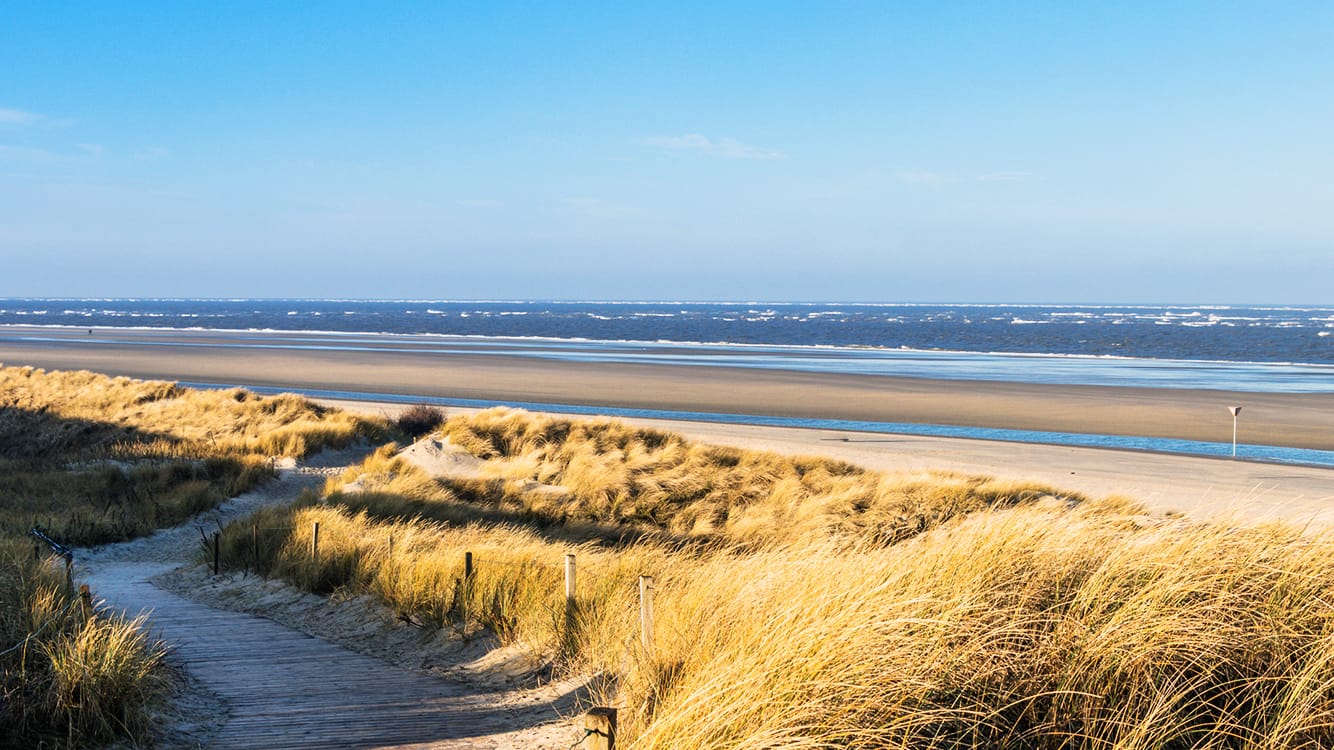 Die Dünen in Spiekeroog: Die abwechslungsreiche Natur der Insel lässt sich am besten zu Fuß erkunden. Autos sind auf der Ostfriesischen Insel verboten.